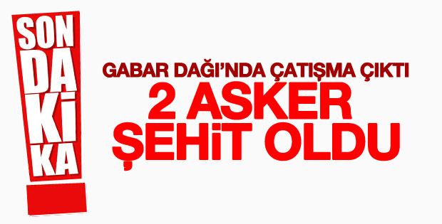 Şırnak'ta PKK operasyonu: 2 asker şehit
