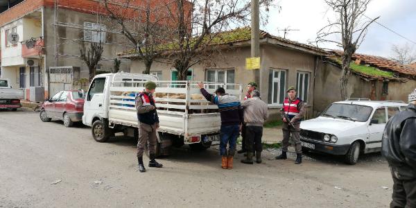 Balıkesir'de hayvan hırsızlarına operasyon