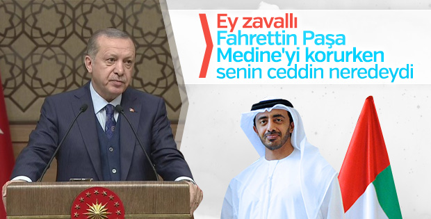 Cumhurbaşkanı Erdoğan'dan BAE Bakanı'na tepki