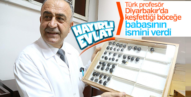 Keşfettiği böceğe babasının adını veren Türk profesör