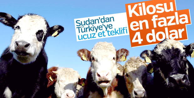 Sudan, Türkiye için ucuz ve kaliteli et satmak istiyor