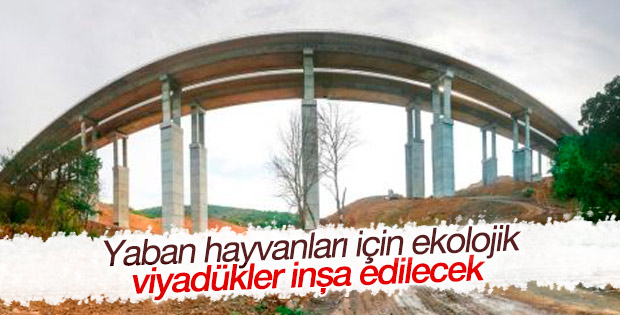 Kuzey Marmara Çevre Yolu'na ekolojik viyadükler yapılacak