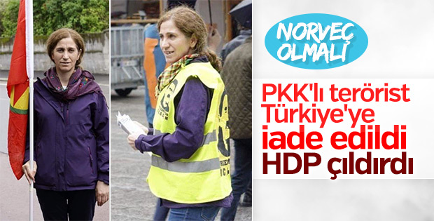 Norveç PKK'lı teröristi Türkiye'ye iade etti