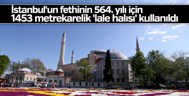 Sultanahmet'te 1453 metrekarelik 'lale halısı' hazırlandı