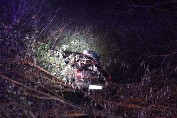 Kocaeli'de otomobil şarampole uçtu: 4 yaralı