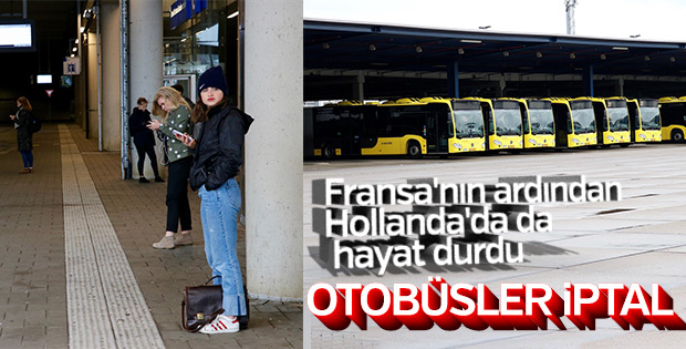 Hollanda'da otobüs şoförleri grevde