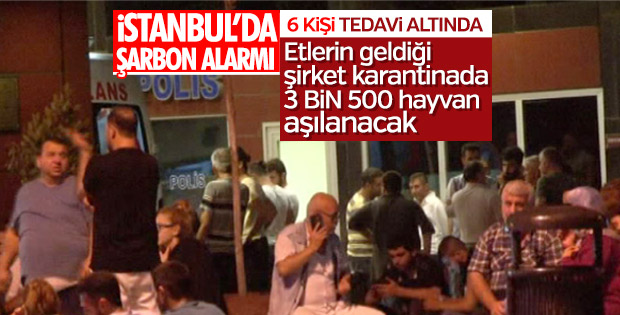 Bakırköy'de şarbon karantinası