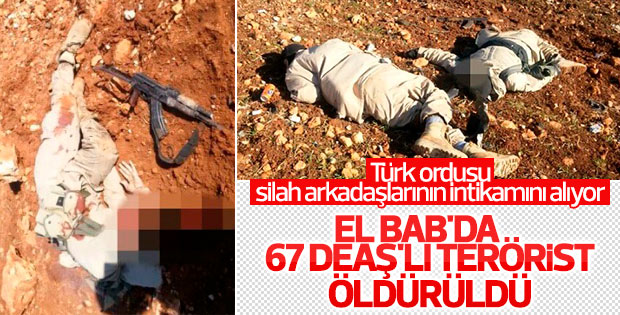 TSK: 67 DEAŞ'lı terörist öldürüldü