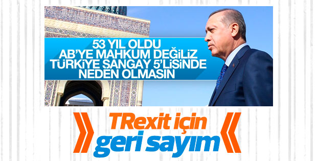 Erdoğan AB'nin alternatifini işaret etti: Şangay 5'lisi