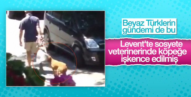 Levent sosyetesinin gündemi: Veteriner kapatılsın
