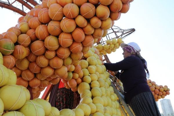 Mersin'de dev narenciye figürler