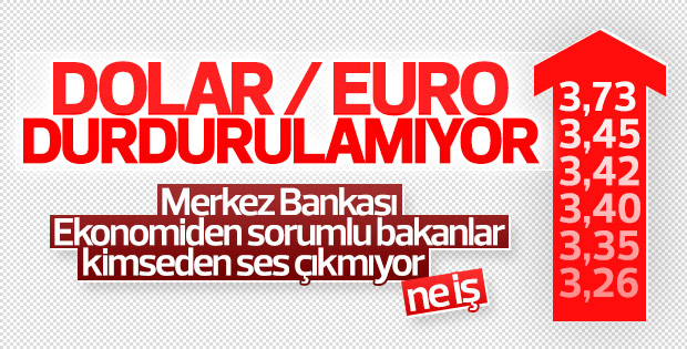 Dolar/TL yeni rekorunu 3.7361'e taşıdı