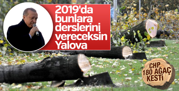 Cumhurbaşkanı Erdoğan CHP'nin ağaç katliamını unutmadı