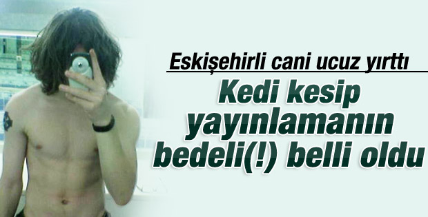 Kedisini öldüren gence para cezası kesildi