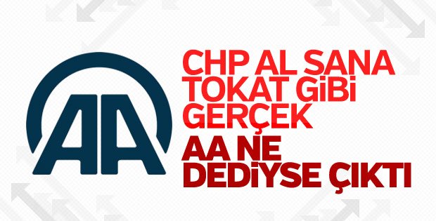 AA'nın seçim sonuçlarındaki başarısı