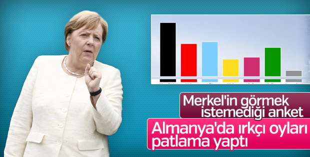 Almanya'da ırkçı parti AfD'nin oyları yükseliyor