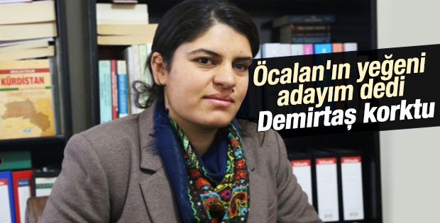 Abdullah Öcalan'ın yeğeni seçimde aday olacak
