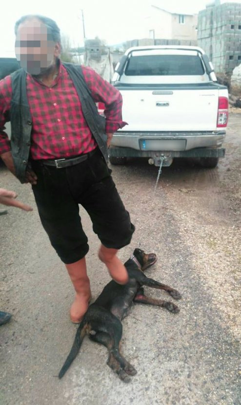Mersin'de vicdansız adam köpeği aracın arkasında sürükledi