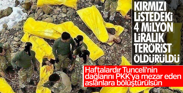 Kırmızı listedeki terörist öldürüldü
