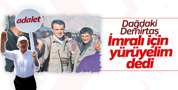 Selahattin Demirtaş'ın ağabeyinden CHP'lilere çağrı
