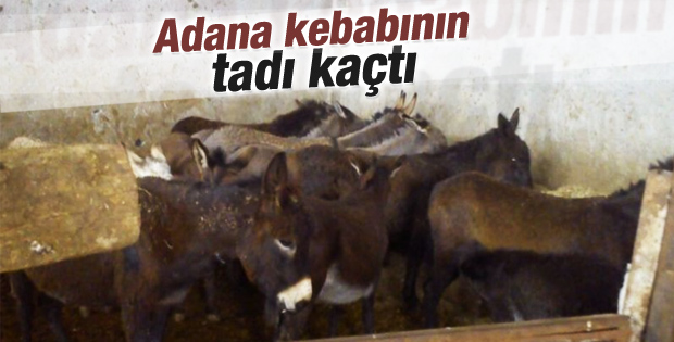 Adana'da at ve eşek eti operasyonu