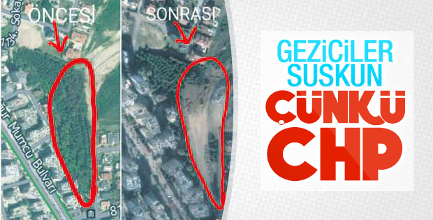 Adana'da CHP'li belediyeden ağaç katliamı