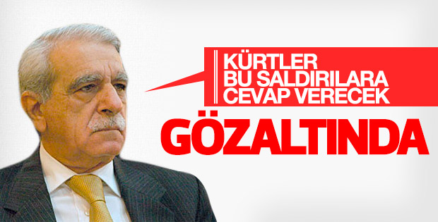 Ahmet Türk ile Emin Irmak gözaltına alındı