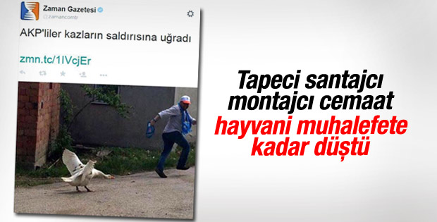 Cemaat medyası hayvanları da muhalefete alet etti