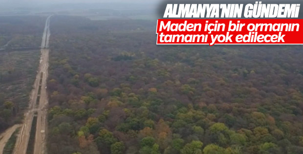 Almanya'da orman katliamı
