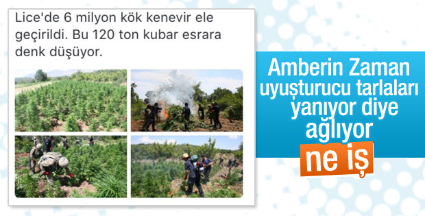 Amberin Zaman'ın Lice duyarlılığı