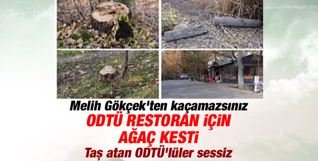 ODTÜ restoran için Eymir'de ağaç katliamı yaptı