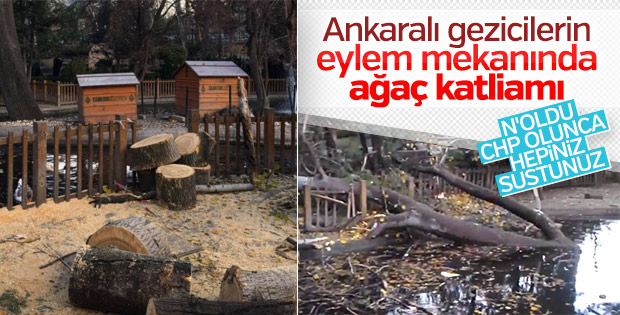 CHP'li Çankaya Belediyesi'nin ağaç katliamı
