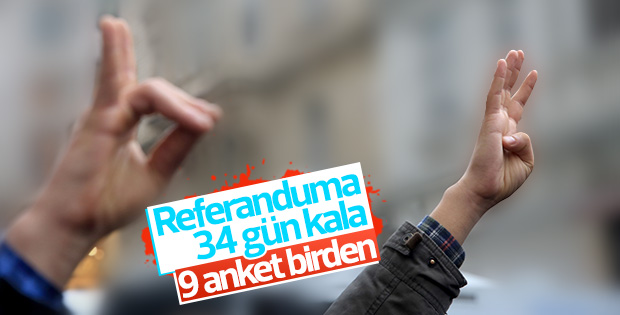 9 anket şirketinin referandum araştırması sonuçları