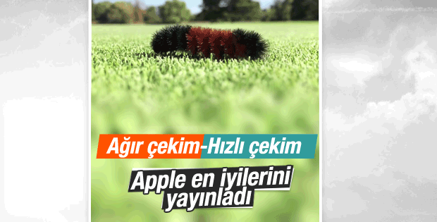 Apple iPhone'la çekilen yeni videoları yayınladı