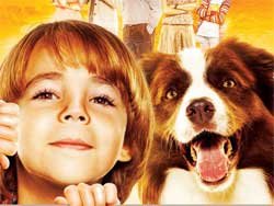Arkadaşım Max – Filmin Künyesi 16