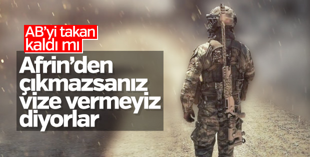 Avrupa Türkiye'nin Afrin'deki varlığından rahatsız
