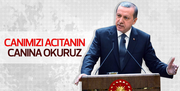 Erdoğan: Cudi'de Kandil'de yakalar vururuz
