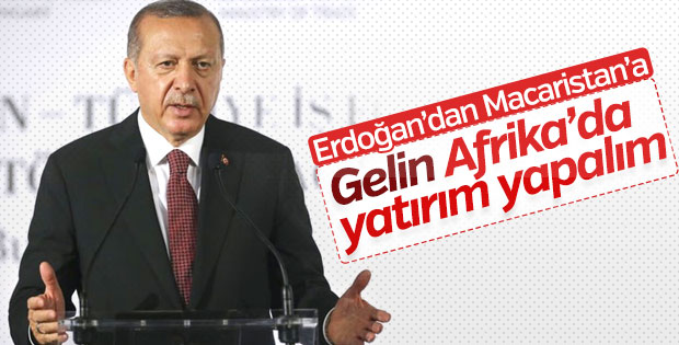 Cumhurbaşkanı Afrika için Macaristan'a seslendi