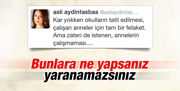 Aslı Aydıntaşbaş'ın garip kar tweet'i