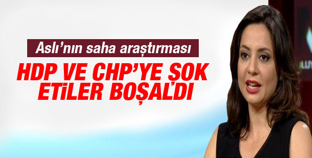 Aslı Aydıntaşbaş'tan HDP ve CHP'ye kötü haber