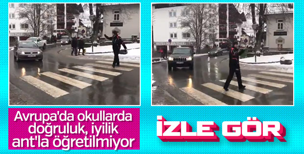 Avrupa'da yaya geçidi nasıl kullanılıyor