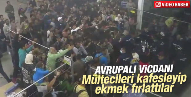 Macaristan'daki kampta mültecilere insanlık dışı muamele