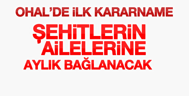 15 Temmuz şehitlerinin ailelerine aylık bağlanacak