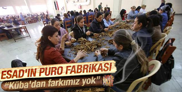 Savaşın sürdüğü Suriye'de tütün endüstrisi canlandı
