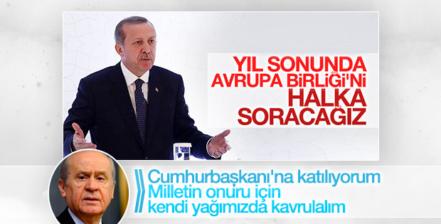 Devlet Bahçeli'den AB yorumu: Kendi yağımızda kavrulalım