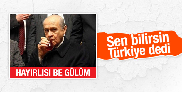 MHP'nin yeni seçim sloganı sevgili tribi gibi