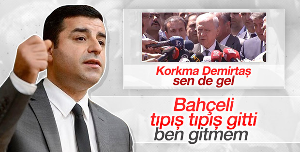 Selahattin Demirtaş'tan Bahçeli'ye gönderme