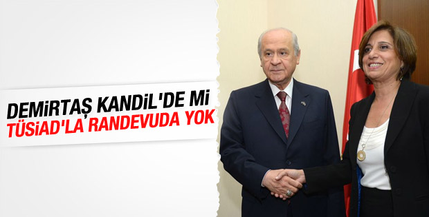 Bahçeli TÜSİAD heyetini kabul etti