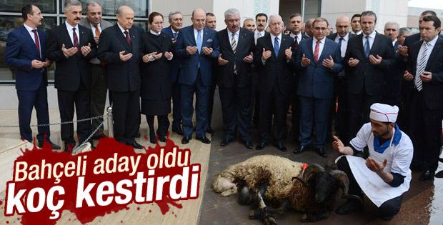 Devlet Bahçeli aday oldu koç kestirdi