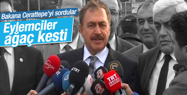 Bakan Eroğlu: Eylemciler Cerattepe'de ağaç kesti